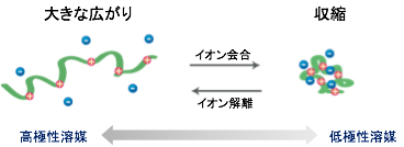 溶媒別の高分子電解質