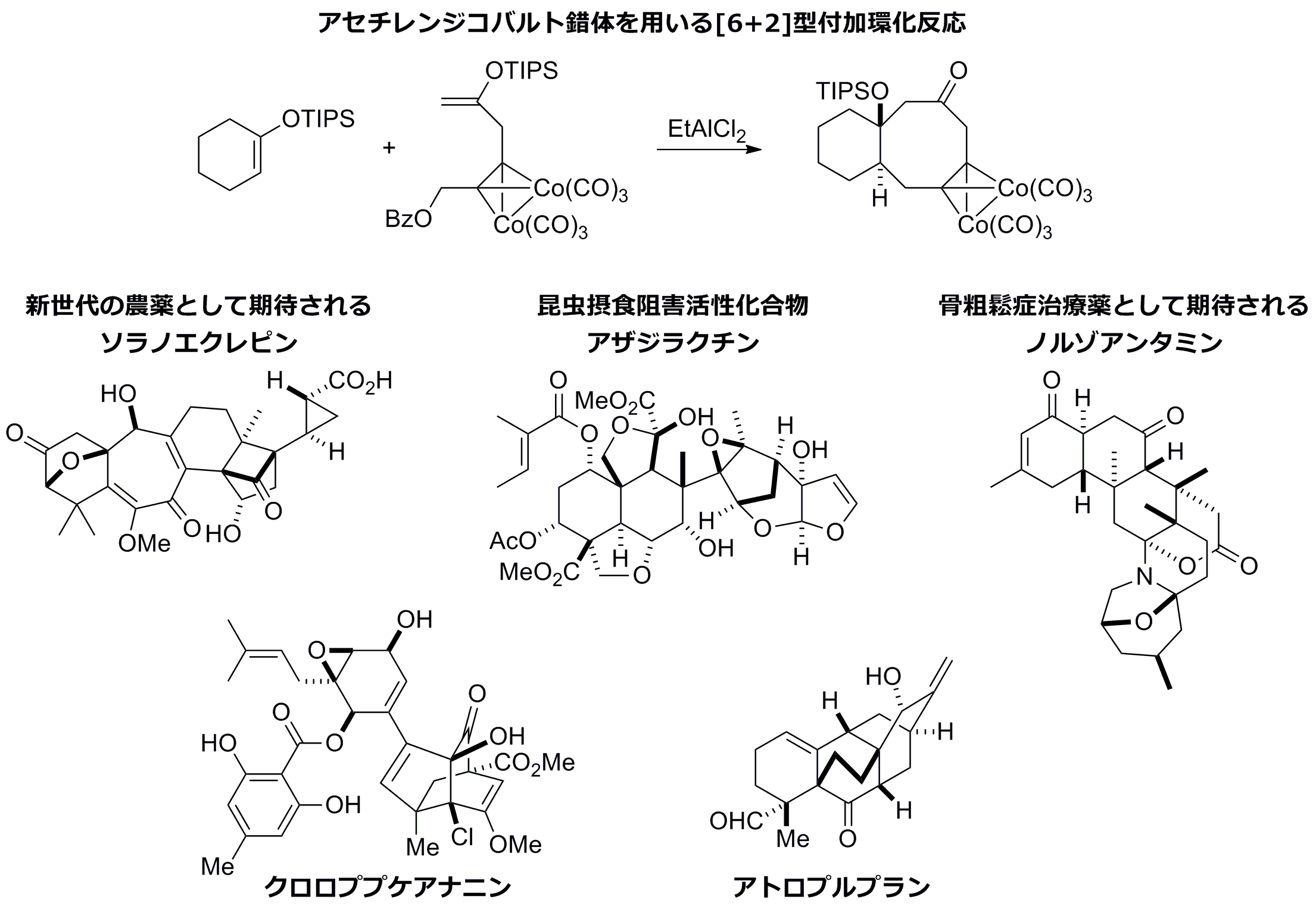 北海道大学有機化学第二研究室 谷野研