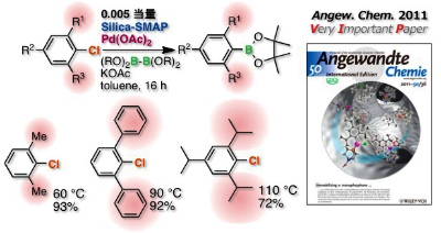 Synthesis of Aryl Boronic Acids via C-ClActivation